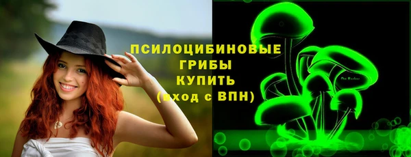 круглые Вяземский