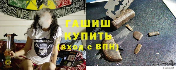 PSILOCYBIN Алзамай