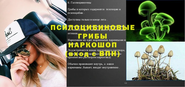 PSILOCYBIN Алзамай